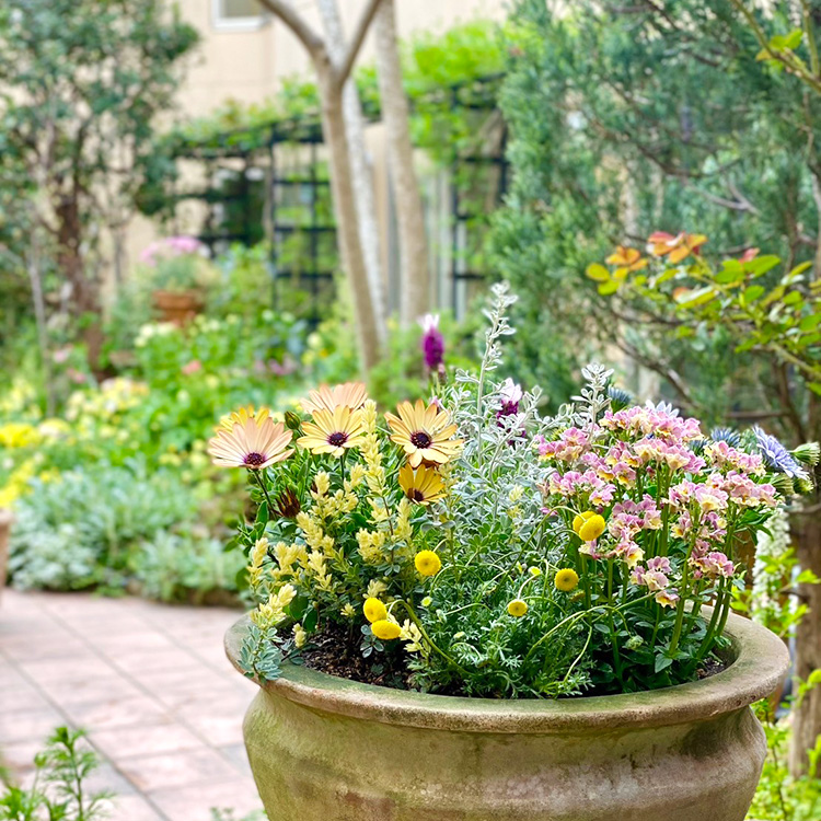 Landscaping Image