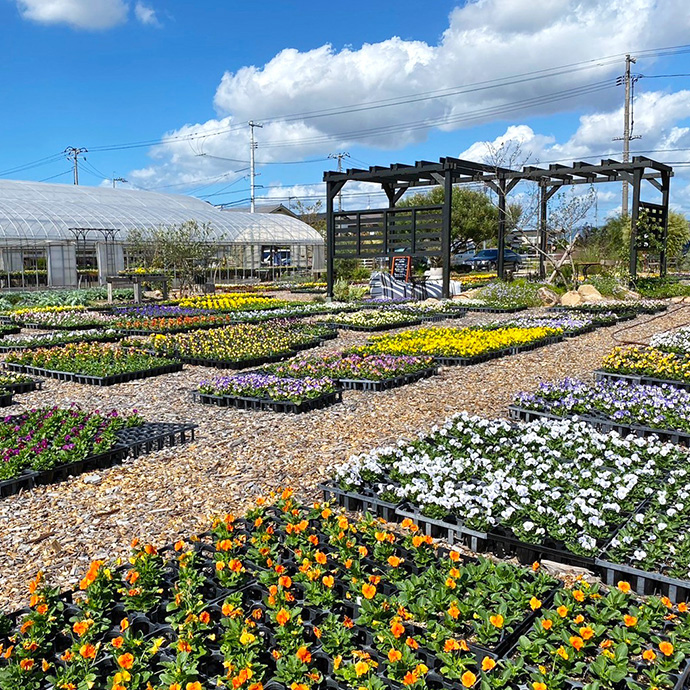 むらかみ農園 Image